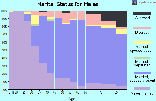 Zip code 06410 marital status for males