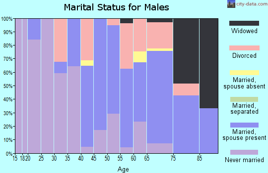 Zip code 06412 marital status for males