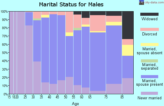 Zip code 06416 marital status for males