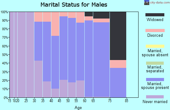 Zip code 06417 marital status for males