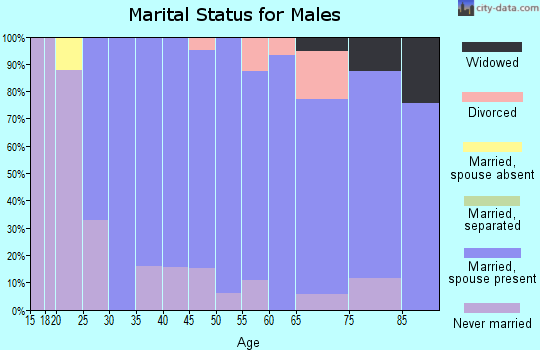 Zip code 06419 marital status for males