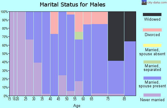 Zip code 06420 marital status for males