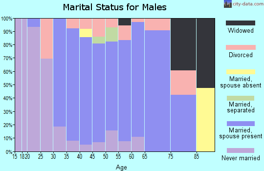 Zip code 06423 marital status for males