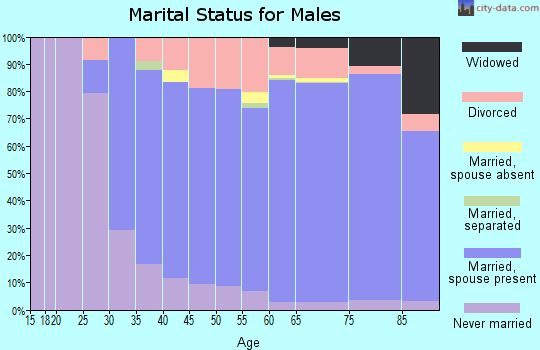 Zip code 06437 marital status for males