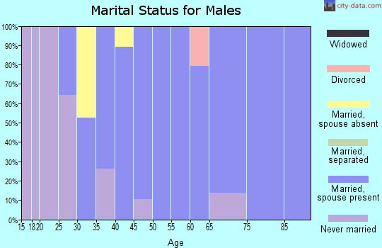 Zip code 06438 marital status for males