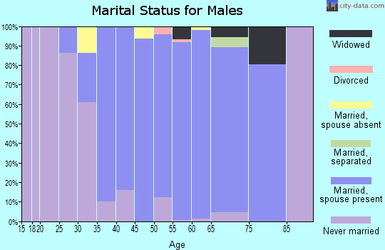 Zip code 06447 marital status for males