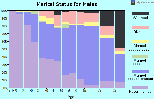 Zip code 06450 marital status for males