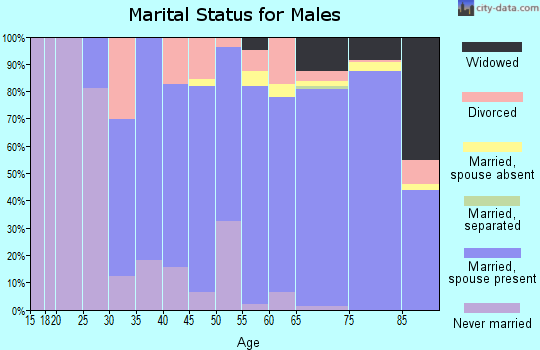 Zip code 06475 marital status for males