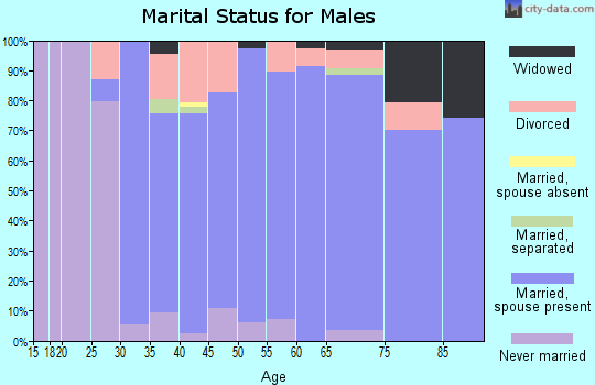 Zip code 06478 marital status for males