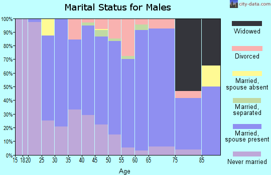 Zip code 06480 marital status for males