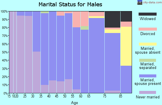 Zip code 06482 marital status for males