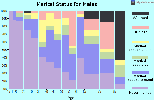 Zip code 06519 marital status for males