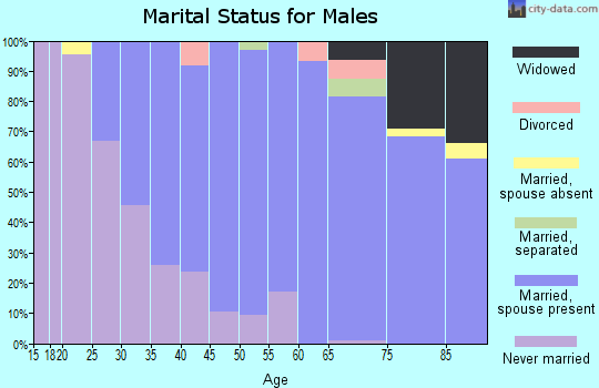 Zip code 06525 marital status for males