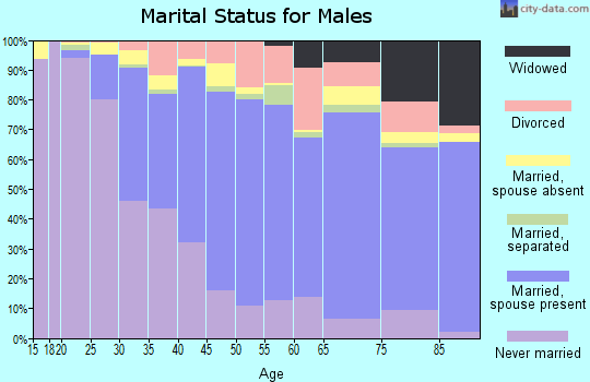 Zip code 06606 marital status for males