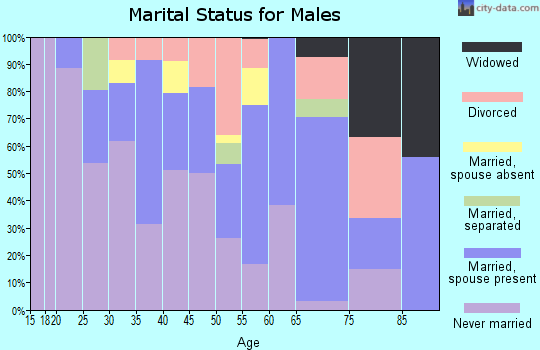 Zip code 06607 marital status for males