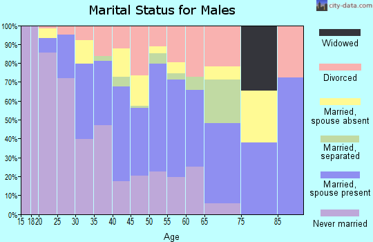 Zip code 06608 marital status for males