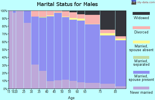 Zip code 06611 marital status for males