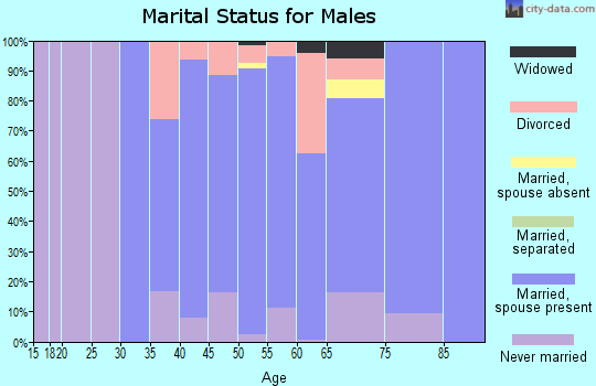 Zip code 06612 marital status for males
