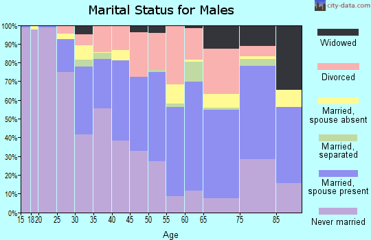Zip code 06704 marital status for males