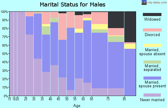 Zip code 06705 marital status for males