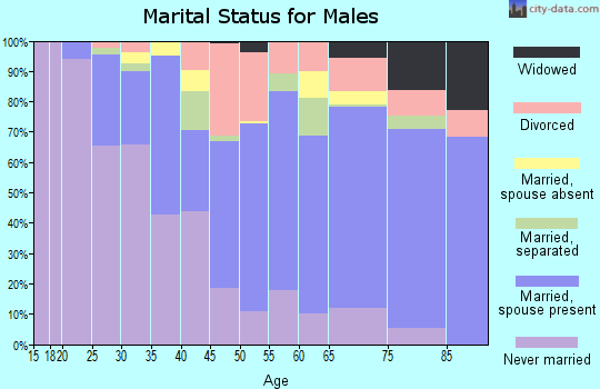 Zip code 06706 marital status for males