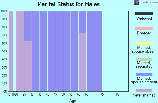 Zip code 06755 marital status for males
