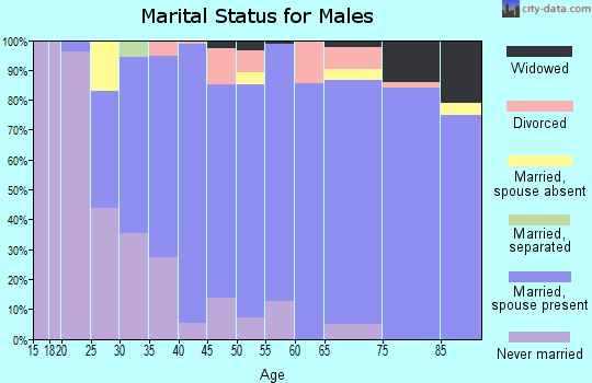 Zip code 06762 marital status for males