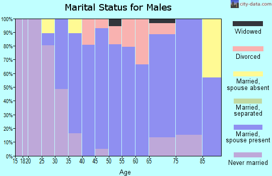 Zip code 06763 marital status for males
