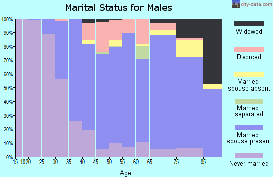 Zip code 06776 marital status for males