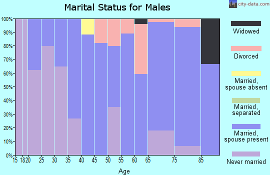 Zip code 06777 marital status for males