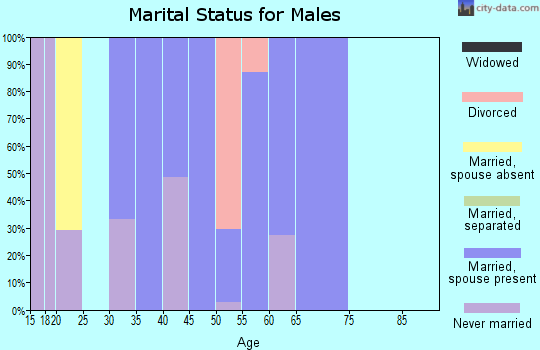 Zip code 06778 marital status for males