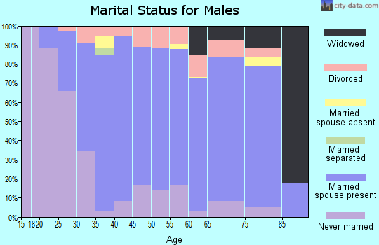 Zip code 06786 marital status for males