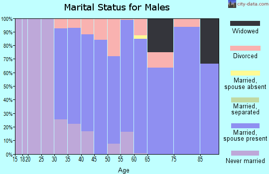 Zip code 06787 marital status for males