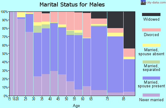 Zip code 06790 marital status for males