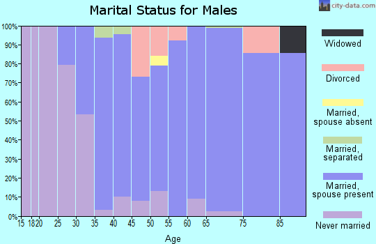 Zip code 06791 marital status for males