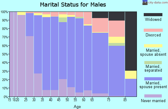 Zip code 06801 marital status for males