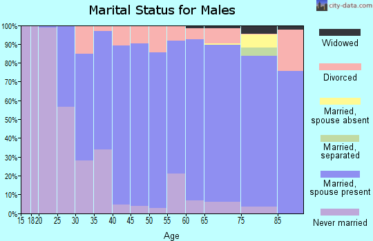 Zip code 06804 marital status for males
