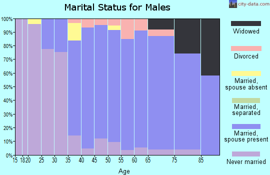 Zip code 06807 marital status for males
