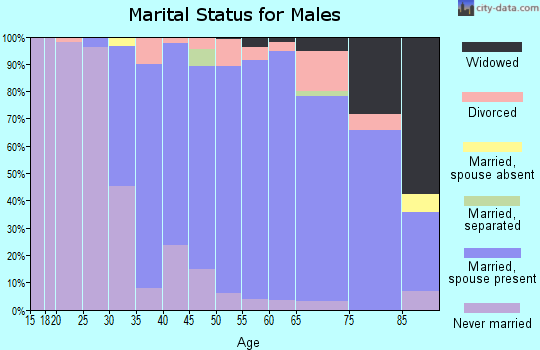 Zip code 06812 marital status for males