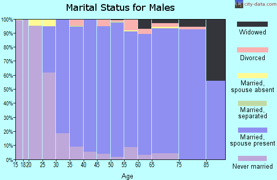 Zip code 06820 marital status for males