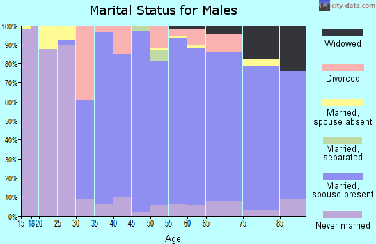 Zip code 06840 marital status for males