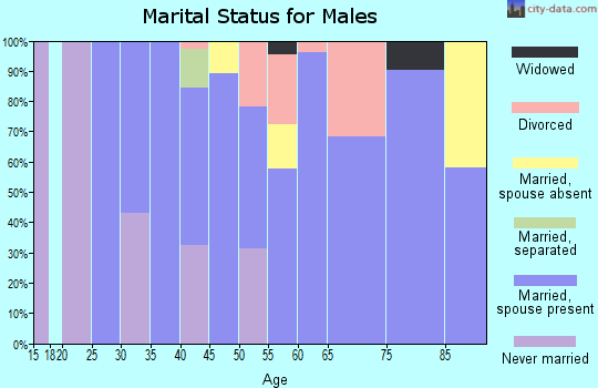 Zip code 06853 marital status for males
