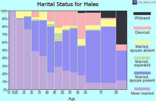 Zip code 06854 marital status for males
