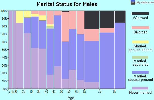 Zip code 06855 marital status for males