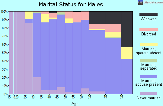 Zip code 06877 marital status for males
