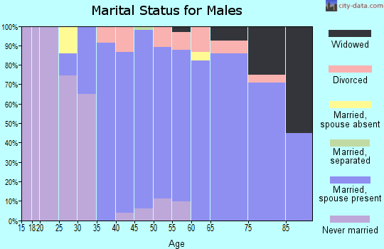 Zip code 06878 marital status for males