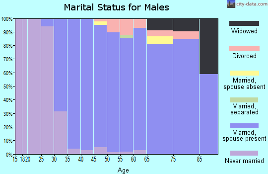 Zip code 06883 marital status for males