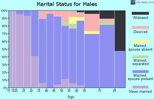 Zip code 06896 marital status for males