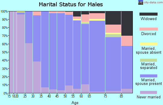 Zip code 06897 marital status for males