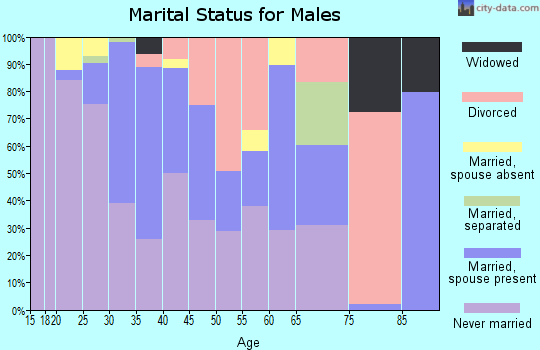 Zip code 06901 marital status for males